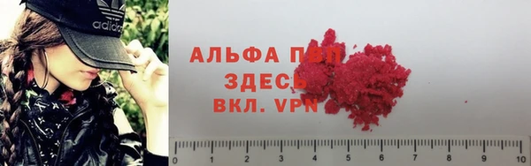 стафф Абинск