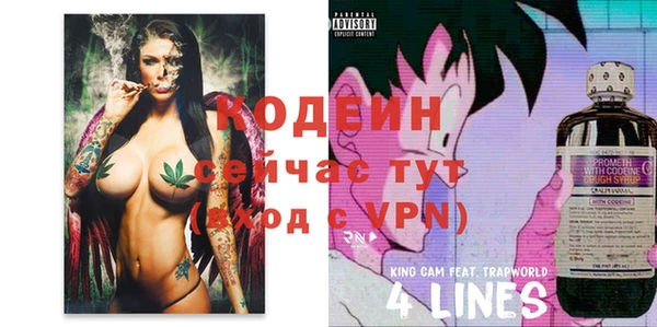 эйфоретик Алзамай