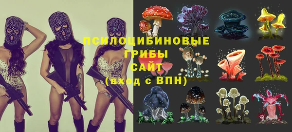стафф Абинск