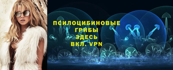 крисы Алексеевка