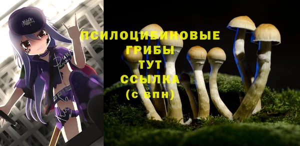 трава Абаза