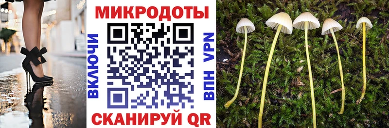 Псилоцибиновые грибы MAGIC MUSHROOMS  дарнет шоп  Железногорск-Илимский 